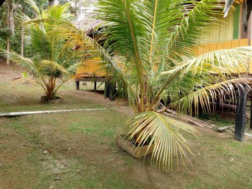 Lodge Amazon Hostal Tours
