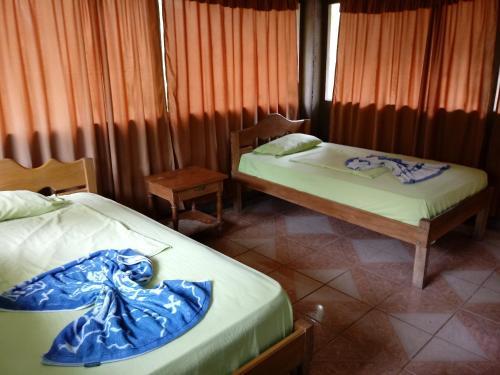 Lodge Amazon Hostal Tours