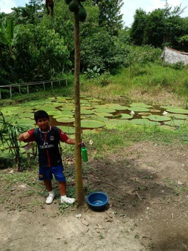 Lodge Amazon Hostal Tours