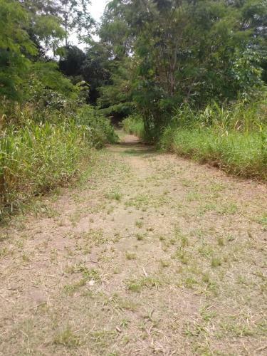 Lodge Amazon Hostal Tours