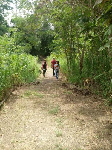 Lodge Amazon Hostal Tours
