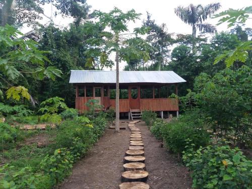 Papaya Eco Lodge