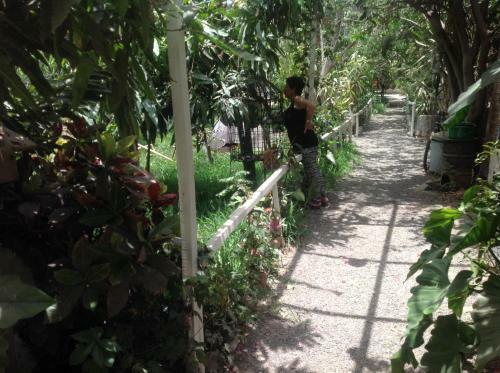 B&B Ecowasi Nasca