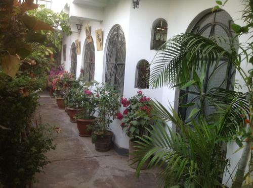 B&B Ecowasi Nasca