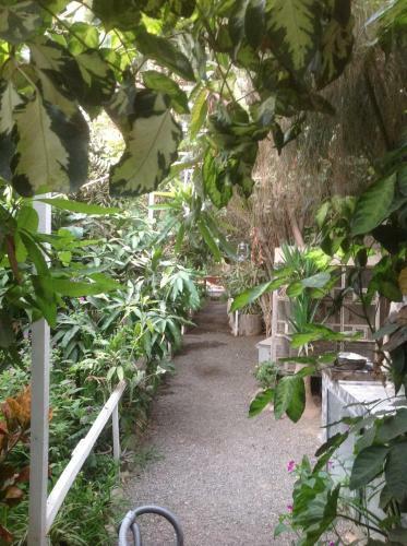 B&B Ecowasi Nasca
