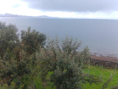 Posada Ururi Wasi - Isla Amantani