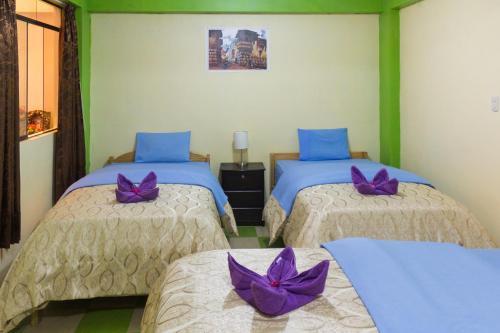 Hostal Hamawta Hospedaje
