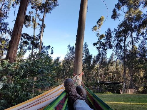 Pamuri Andes Lodge