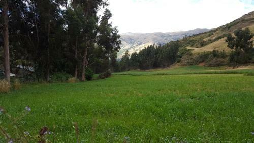 Pamuri Andes Lodge