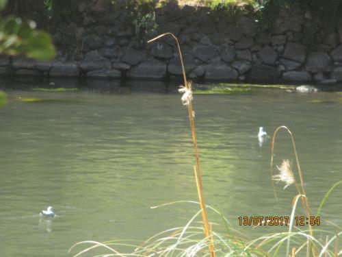 Agroturismo Wayqi Wasi
