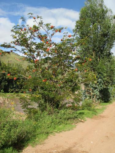Agroturismo Wayqi Wasi