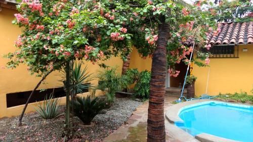 Bed & Breakfast Suite Apart La Finca
