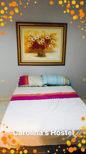 Carolina's Hostel - Piu