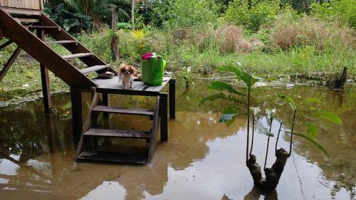 Agroturismo La Casita Nueva Luz