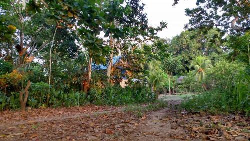 Agroturismo La Casita Nueva Luz