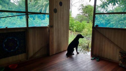 Agroturismo La Casita Nueva Luz