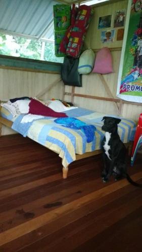 Agroturismo La Casita Nueva Luz
