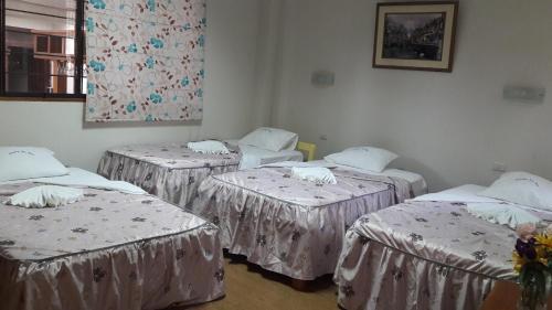 Posada Selva Magica Un Hogar Donde Llegar