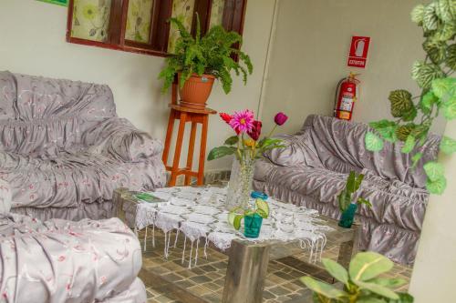 Posada Selva Magica Un Hogar Donde Llegar