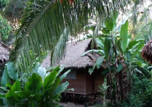 Ecolucerna Lodge