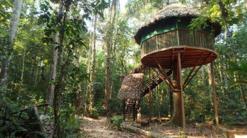 Albergue Treehouses In The Jungle