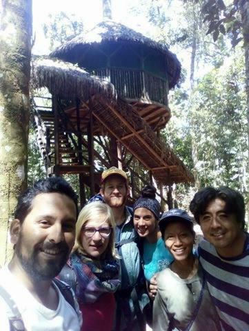 Albergue Treehouses In The Jungle