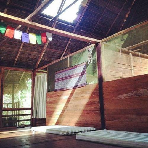 Albergue Treehouses In The Jungle