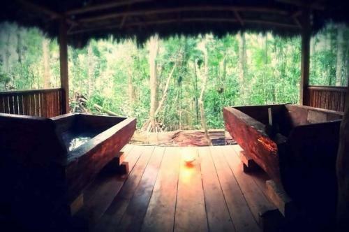 Albergue Treehouses In The Jungle