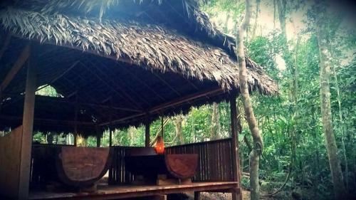 Albergue Treehouses In The Jungle