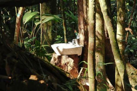Albergue Treehouses In The Jungle
