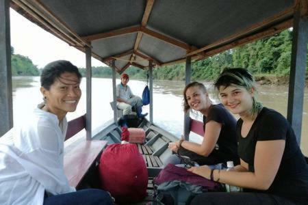 Albergue Treehouses In The Jungle