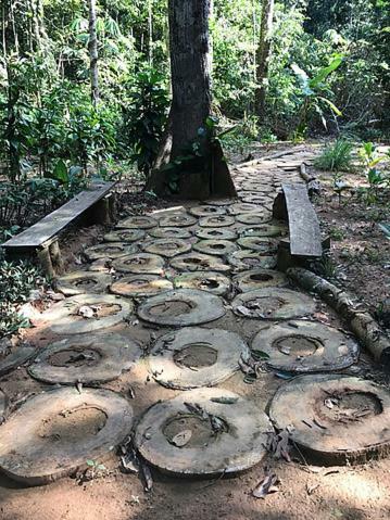 Albergue Treehouses In The Jungle