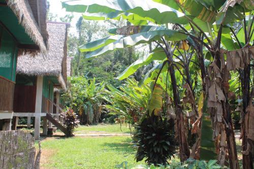 Paradise Amazon Tambopata Ecolodge
