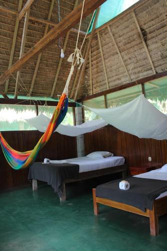 Paradise Amazon Tambopata Ecolodge