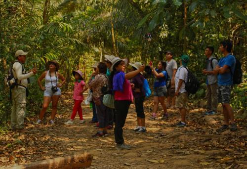 Paradise Amazon Tambopata Ecolodge