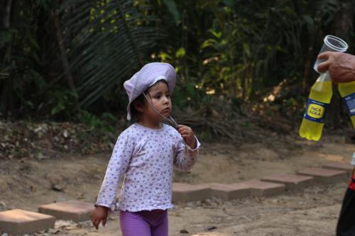 Paradise Amazon Tambopata Ecolodge