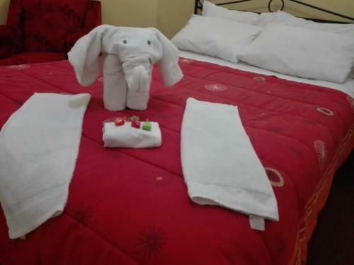 Bed & Breakfast Puma Hostel Puno