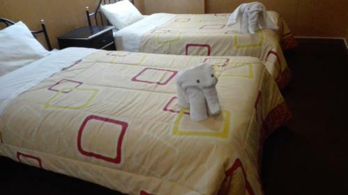 Bed & Breakfast Puma Hostel Puno