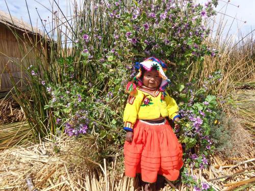 Uros Lodge Peru