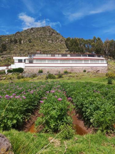 Hotel B & B Wi�ay Pacha Inn Ecological Mystic