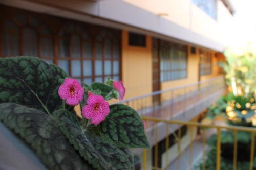 Gran Bombonaje Rioja Hotel