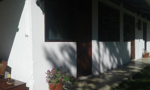 Agroturismo El Cacaotal