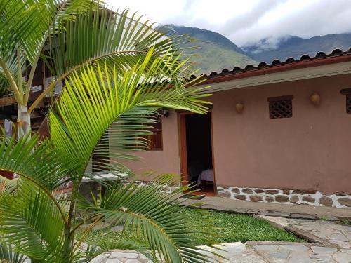 Vip Jungle Lodge