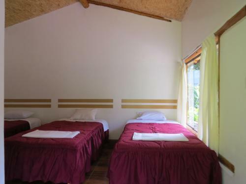 Eco Terra Lodge