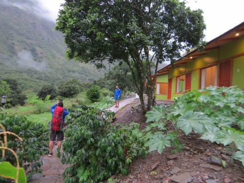 Eco Terra Lodge