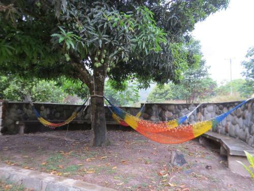 Eco Terra Lodge