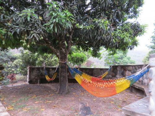 Eco Terra Lodge