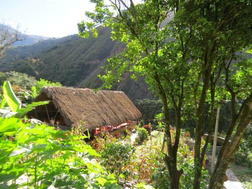 Eco Terra Lodge