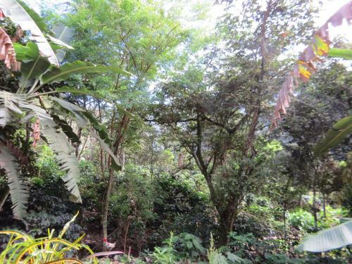 Eco Terra Lodge