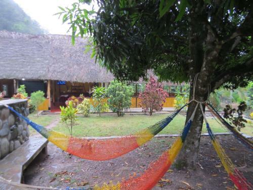 Eco Terra Lodge